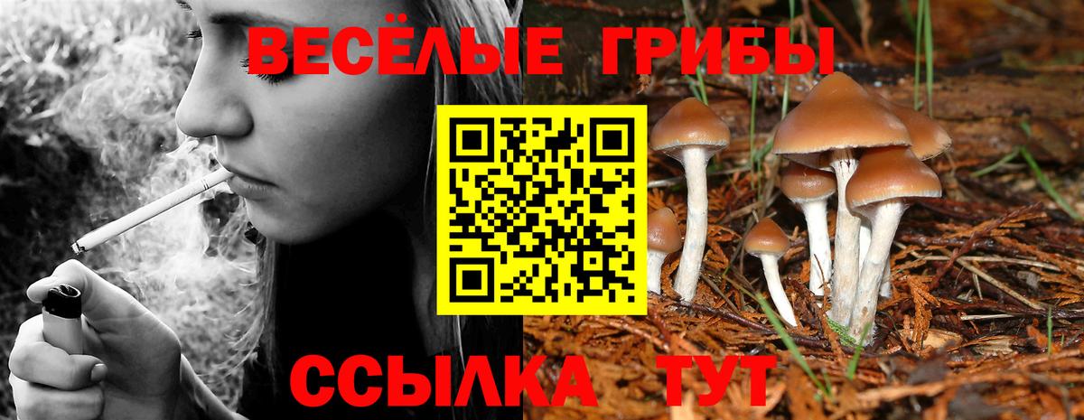 Псилоцибиновые грибы Magic Shrooms Набережные Челны